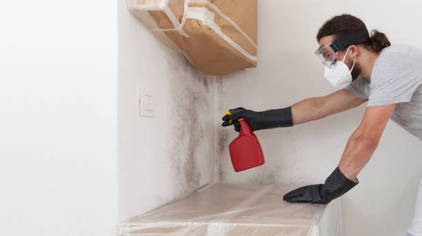 Professional Crawl Space Mold Remediation technician working in Highspire, PA