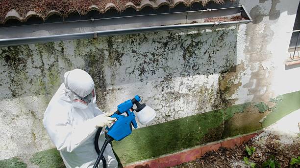Top rated local Crawl Space Mold Remediation specialists in Highspire, PA